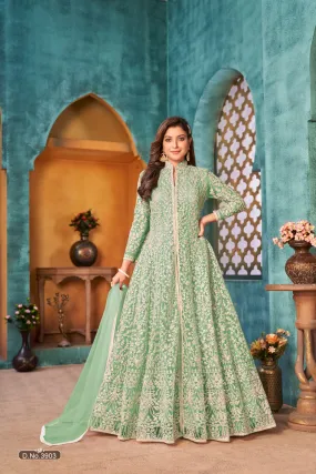 Pista Colour Pure Soft Net with Heavy Cording & Sequins Work Readymade Gown