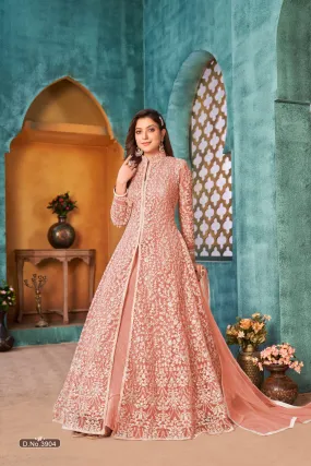 Prach Colour Pure Soft Net with Heavy Cording & Sequins Work Readymade Gown