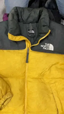 The NorthFace Puffer Jackets 700/800/Summit Series 10 Pcs